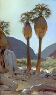 Palm Canyon