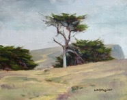 COAST CYPRESS