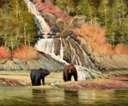Bears