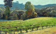 VINEYARD AFTERNOON